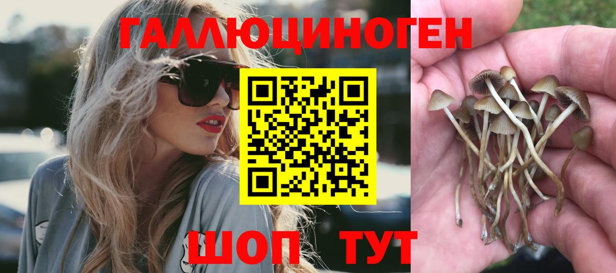 Псилоцибиновые грибы мухоморы Стрежевой