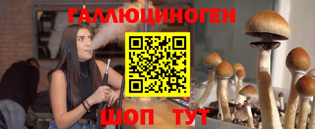 Стрежевой  Галлюциногенные грибы GOLDEN TEACHER  Вход с VPN 